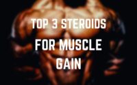 best steroids for muscle gain