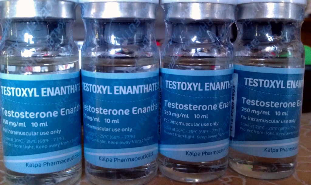 testoxyl enanthate